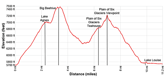 Elevation Profile for Lake Agnes and the Plain of the Six Glaciers Loop hike