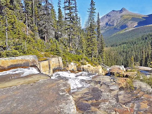 Description Of Paradise Valley Giant Steps Hiking Trail In