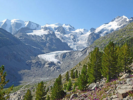 Piz Palu massif, Bellavista, Crast'Aguzza, the Piz Bernina massif and Piz Morteratsch
