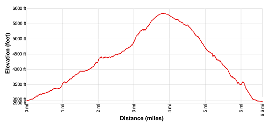 Elevation Profile for the Obersteinberg Loop Hike