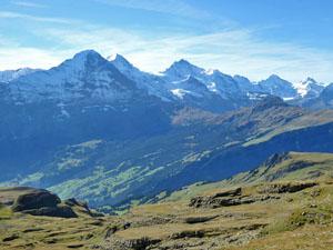 Views of the Bernese Alps from the hike to Schynige Platte