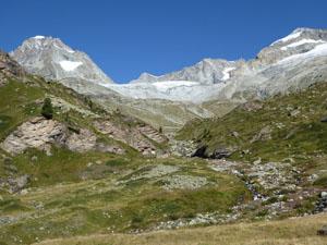 View from the meadows just beyond the Hotel du Trift
