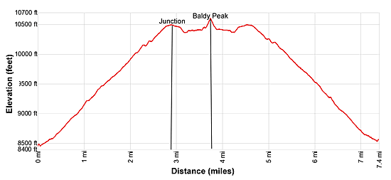 Elevation Profile - Baldy Peak Trail