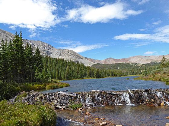 Browns Lake 