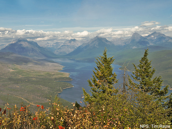 View from the lookout