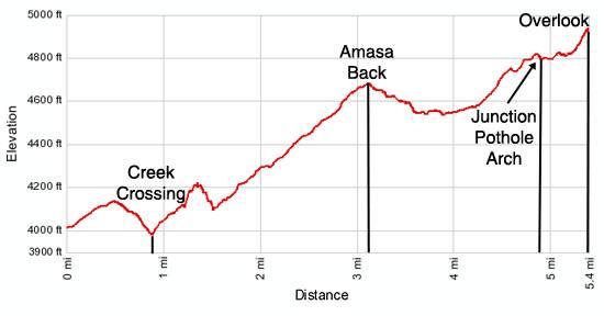 Amasa Back elevation profile