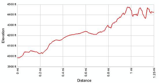 Corona Arch elevation profile