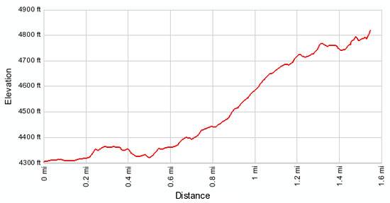 Delicate Arch Elevation Profile