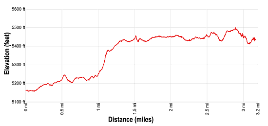 Elevation Profile for Double O Arch