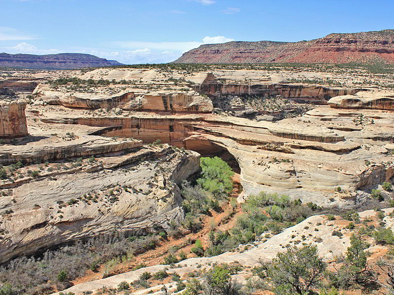 View from the trail