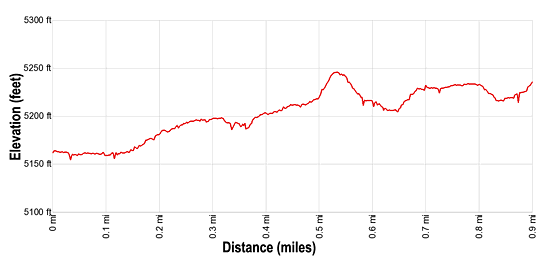 Elevation Profile for the Landscape Arch hiking trail