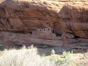 Looking across the canyon at ruins tycked in an alcove beneath a large overhang