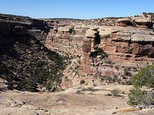 View into the First Fork of Slickhorn Canyon