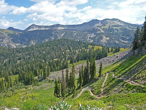 Continental Divide from the saddle along Green Mountain ridge 