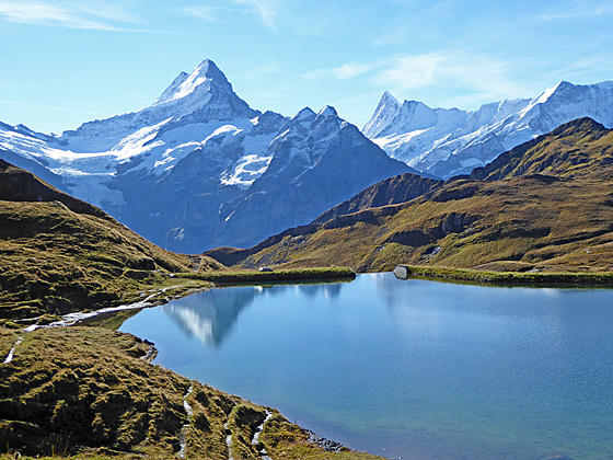 Close-up of the Schreckhorn