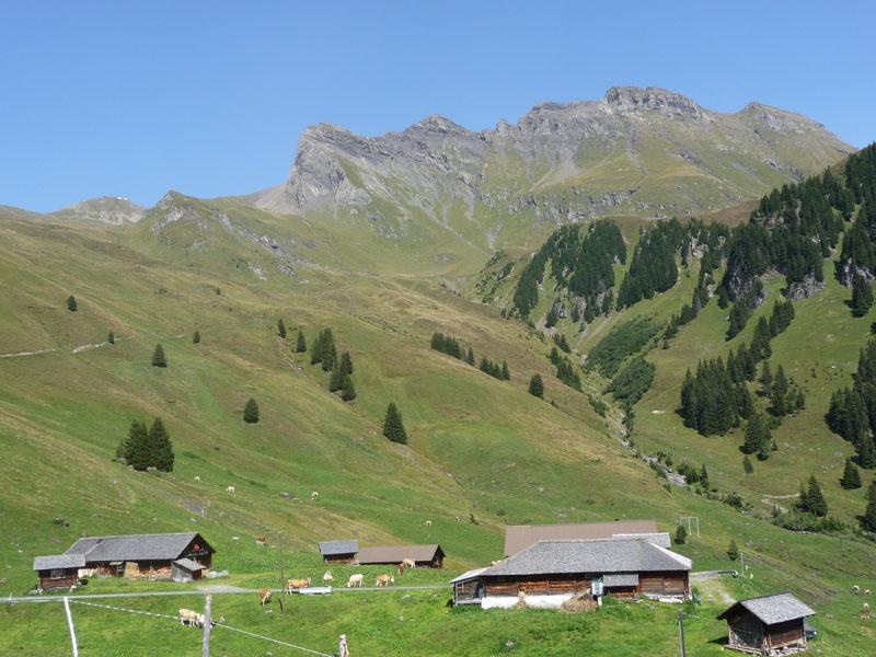 Photo Gallery for the Grosse Scheidegg to Bussalp Hiking Trail in