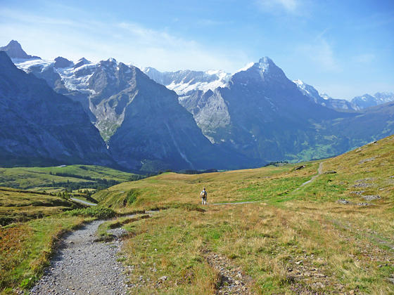 Impressive peaks rising to the south of Grindelwald