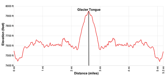 Elevation Profile of the Oberaar Glacier Hiking Trail