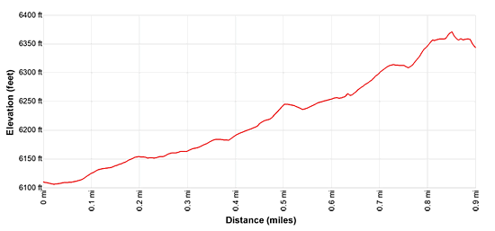 Elevation Profile of the Sertig to Ducan Waterfall hiking trail