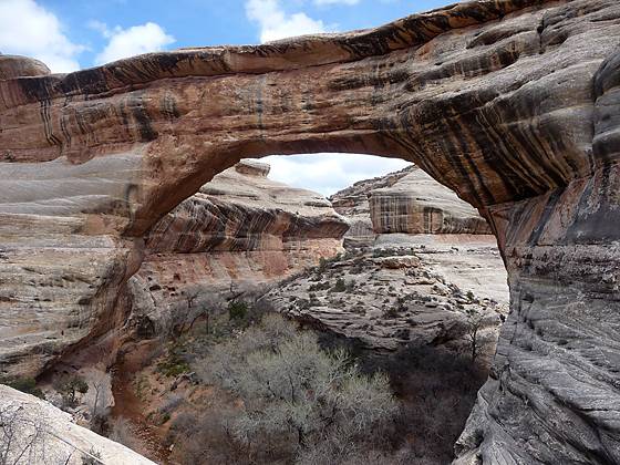 Sipapu Bridge from the trail climbing to to the rim. 