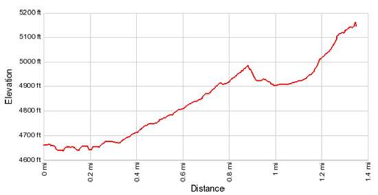 Elevation Profile - Procession Panel